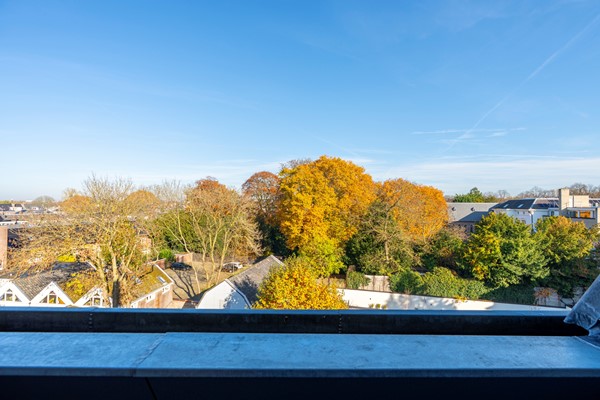 Medium property photo - Nachtegaalstraat 82D, 3581 AN Utrecht